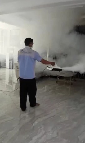 Disinfecting the living area